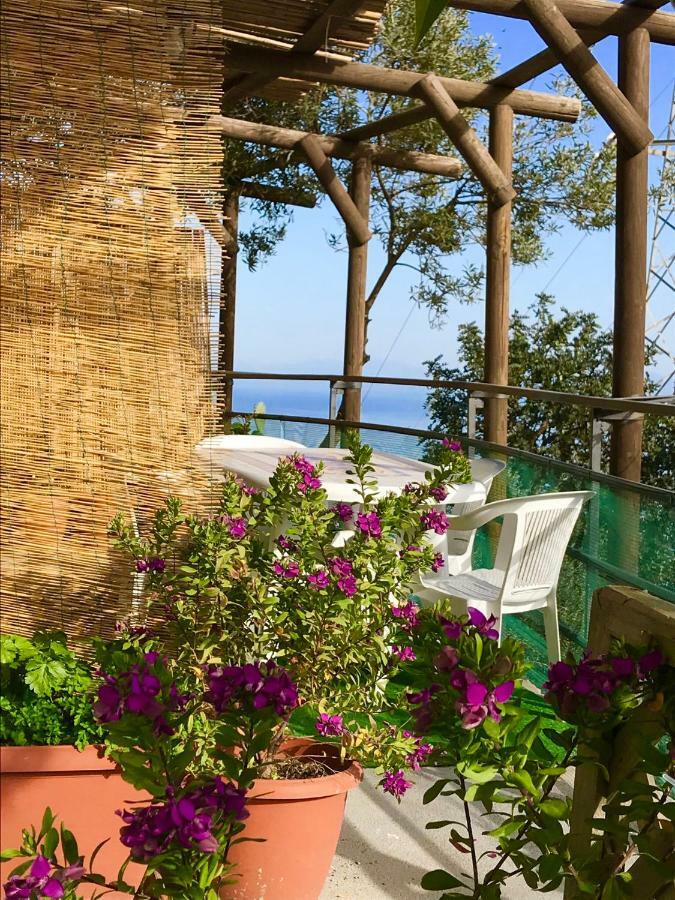 Casa Luisa & Milu , Coastal Retreats In Furore! المظهر الخارجي الصورة